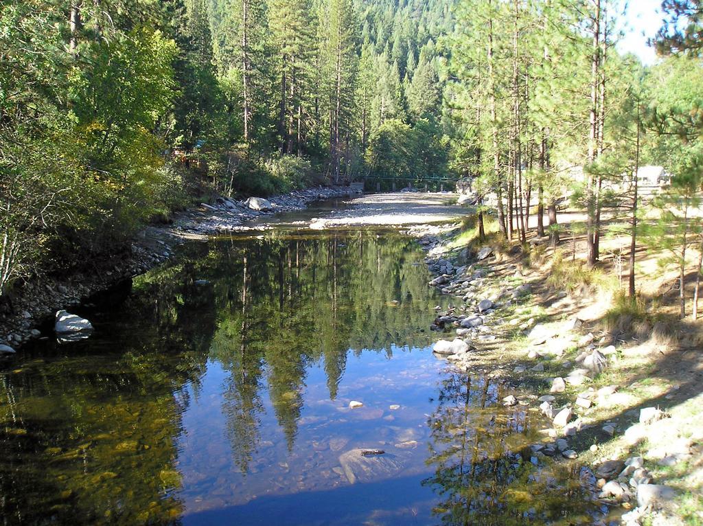 Yosemite Lakes Cottage 52 Harden Flat Zewnętrze zdjęcie